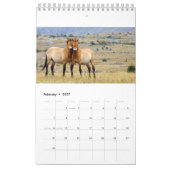 Pferde tragen 2018 ein kalender (Feb 2027)