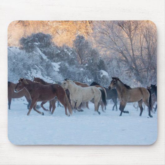 Pferde-Treck im Winter auf der Hideout Ranch Mousepad (Vorne)