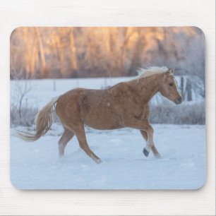 Pferde-Treck im Winter auf Hideout Ranch Mousepad