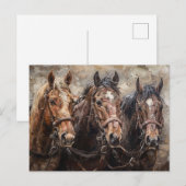 Pferde-Trio-Ölgemälde Postkarte (Vorne/Hinten)