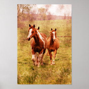 Pferde Trotting Poster