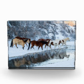 Pferde überqueren den Bach Fotoblock (Vorderseite)