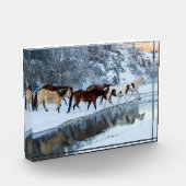 Pferde überqueren den Bach Fotoblock (Links)