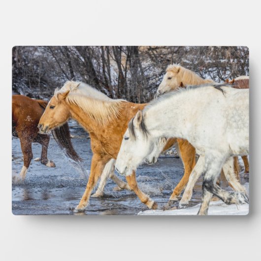 Pferde überqueren den Strom Fotoplatte (Vorderseite)