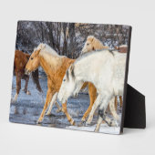 Pferde überqueren den Strom Fotoplatte (Seite)