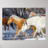 Pferde überqueren den Strom Poster (Vorne)