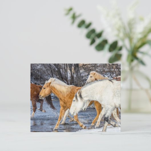 Pferde überqueren den Strom Postkarte (Stehend Vorderseite)