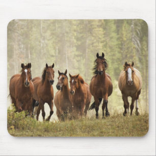 Pferde überqueren einen kleinen Hügel während des Mousepad