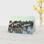 Pferde überqueren Wasser Karte (Gelbe Blume)