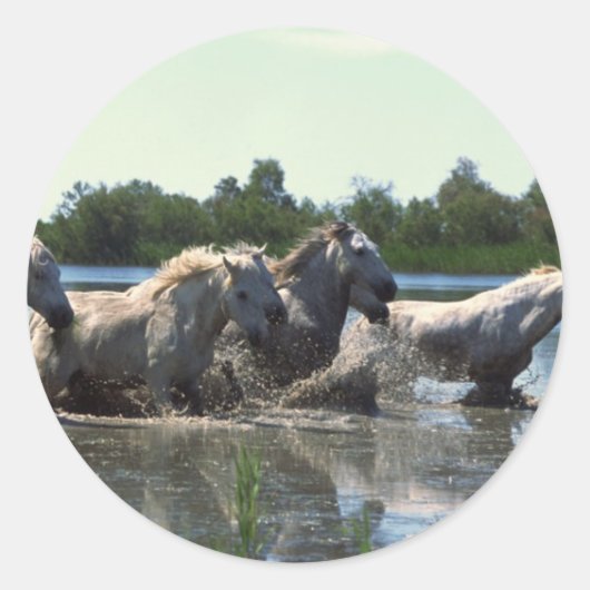 Pferde überqueren Wasser Runder Aufkleber (Vorderseite)