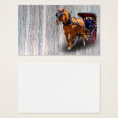 PFERDE UND BEFÖRDERUNG (Vorne & Hinten)