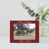 Pferde und Buggy, Kauai, HI Postkarte (Stehend Vorderseite)