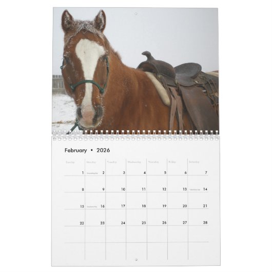 Pferde und Cowboys Kalender (Feb 2026)
