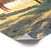 Pferde und Donkey - Auf dem Bauernplakat Poster (Ecke)