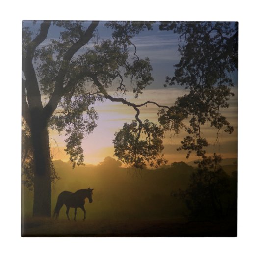 Pferde und Eichenbaum im Südwesten des Sonnenunter Fliese (Vorderseite)