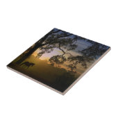 Pferde und Eichenbaum im Südwesten des Sonnenunter Fliese (Seite)