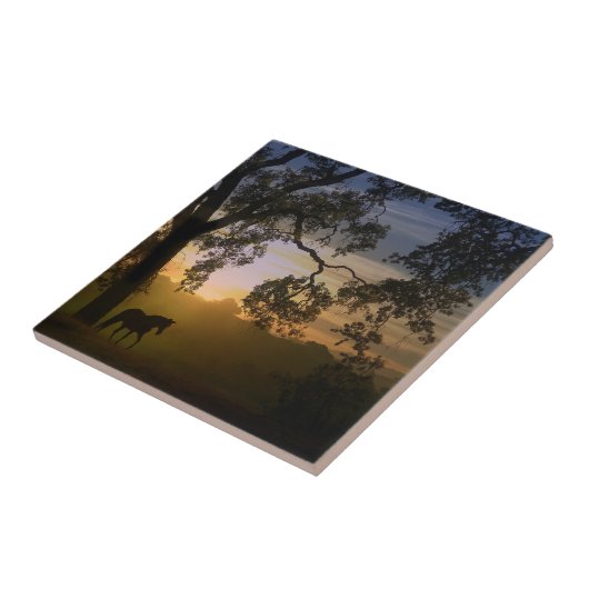 Pferde und Eichenbaum im Südwesten des Sonnenunter Fliese (Seite)