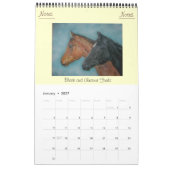 Pferde und Esel-Portraits 2023 Kalender (Jan 2027)