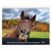 Pferde- und Eselkalender 2025 Kalender (Titelbild)