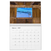 Pferde- und Eselkalender 2025 Kalender (Feb 2027)