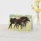 Pferde und Fohlen Karte (Gelbe Blume)