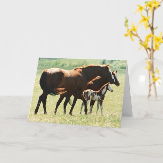 Pferde und Fohlen Karte (Gelbe Blume)