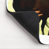 Pferde und Fohlen Mousepad (Ecke)