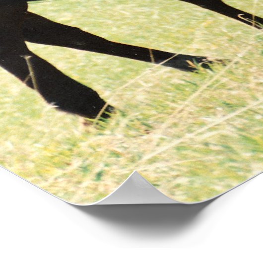 Pferde und Fohlen Poster (Ecke)