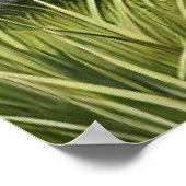 Pferde und Fohlen ruhen Amid blühende Bäume Poster (Ecke)