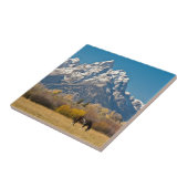 Pferde und Grand Tetons, Elchkopfranke Fliese (Seite)