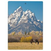 Pferde und Grand Tetons, Elchkopfranke Klemmbrett (Rückseite)