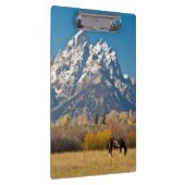 Pferde und Grand Tetons, Elchkopfranke Klemmbrett (Rechts)