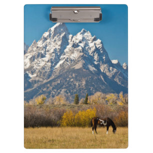 Pferde und Grand Tetons, Elchkopfranke Klemmbrett