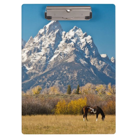 Pferde und Grand Tetons, Elchkopfranke Klemmbrett (Vorderseite)