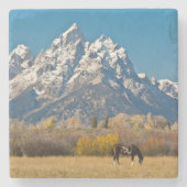 Pferde und Grand Tetons, Elchkopfranke Steinuntersetzer (Vorderseite)