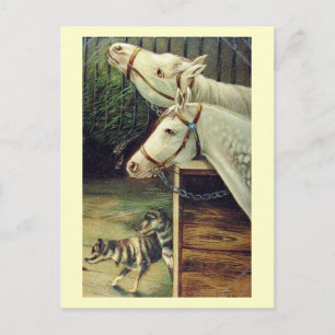 Pferde und Hunde Vintage Postkarte