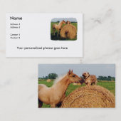 Pferde-und Hundesitzungs-Visitenkarte Visitenkarte (Vorne/Hinten)