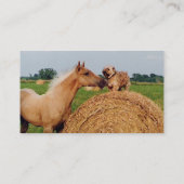 Pferde-und Hundesitzungs-Visitenkarte Visitenkarte (Rückseite)