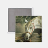 Pferde und Kätzchen, 1890 Magnet (Vorderseite/Rückseite)