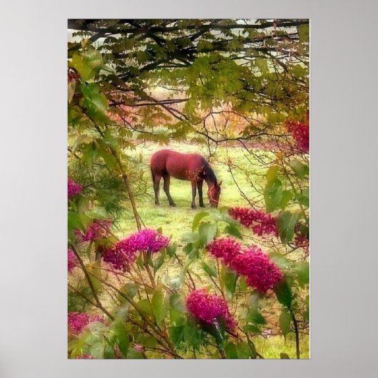 Pferde und Lilacs Poster (Vorne)
