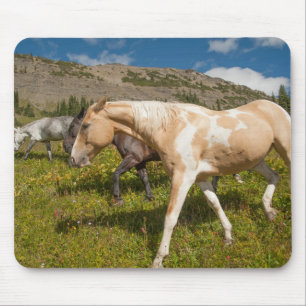 Pferde und Maultiere Mousepad