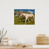 Pferde und Maultiere Poster (Küche)