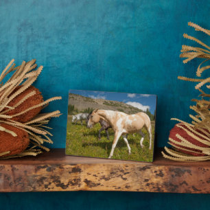 Pferde und Mäuse Fotoplatte