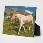 Pferde und Mäuse Fotoplatte (Seite)