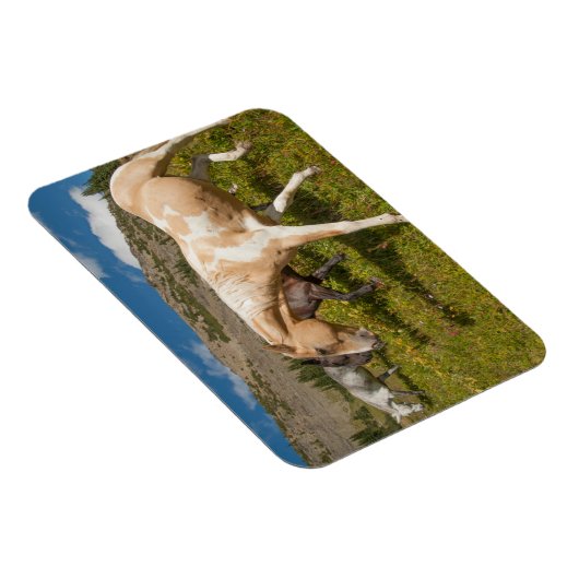 Pferde und Mäuse Magnet (Rechte Seite)