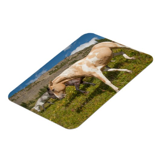 Pferde und Mäuse Magnet (Linke Seite)