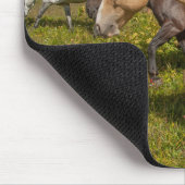 Pferde und Mäuse Mousepad (Ecke)