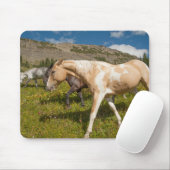 Pferde und Mäuse Mousepad (Mit Mouse)