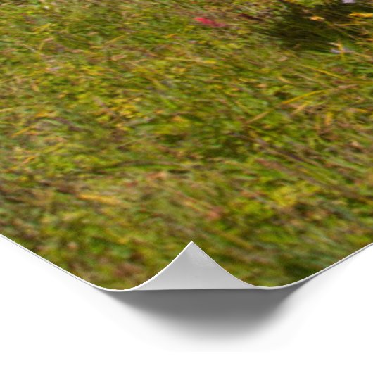 Pferde und Mäuse Poster (Ecke)