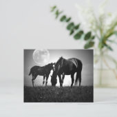 Pferde und Mond Postkarte (Stehend Vorderseite)